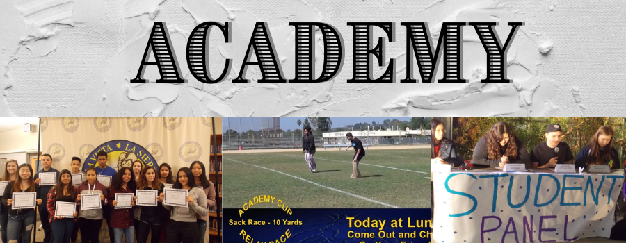 Academy Banner Academy Banner